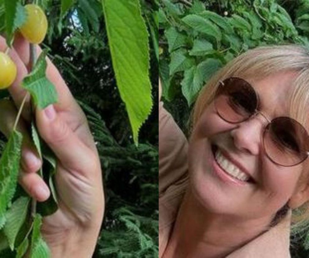 Poleca je Ewa Wachowicz, są bardzo słodkie. Czy białe czereśnie też wychodzą na zdrowie?