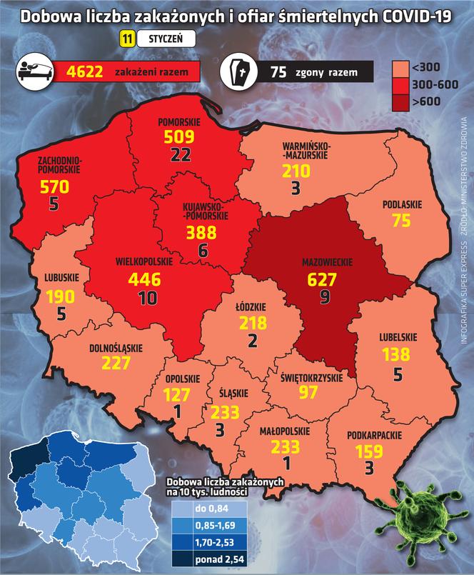 wirus Polska województwa 11 1 2021