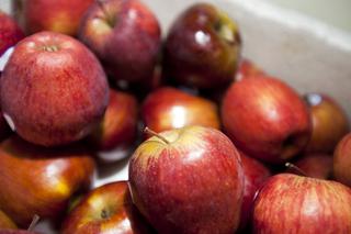 Ser jabłkowy: pomysł na pyszny deser