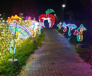 Garden of Lights w Szczecinie