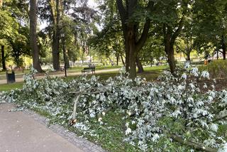 Rzeźba w parku przy Dąbrowskiego straciła głowę i nie tylko. Nie wiadomo czy da się ją naprawić 