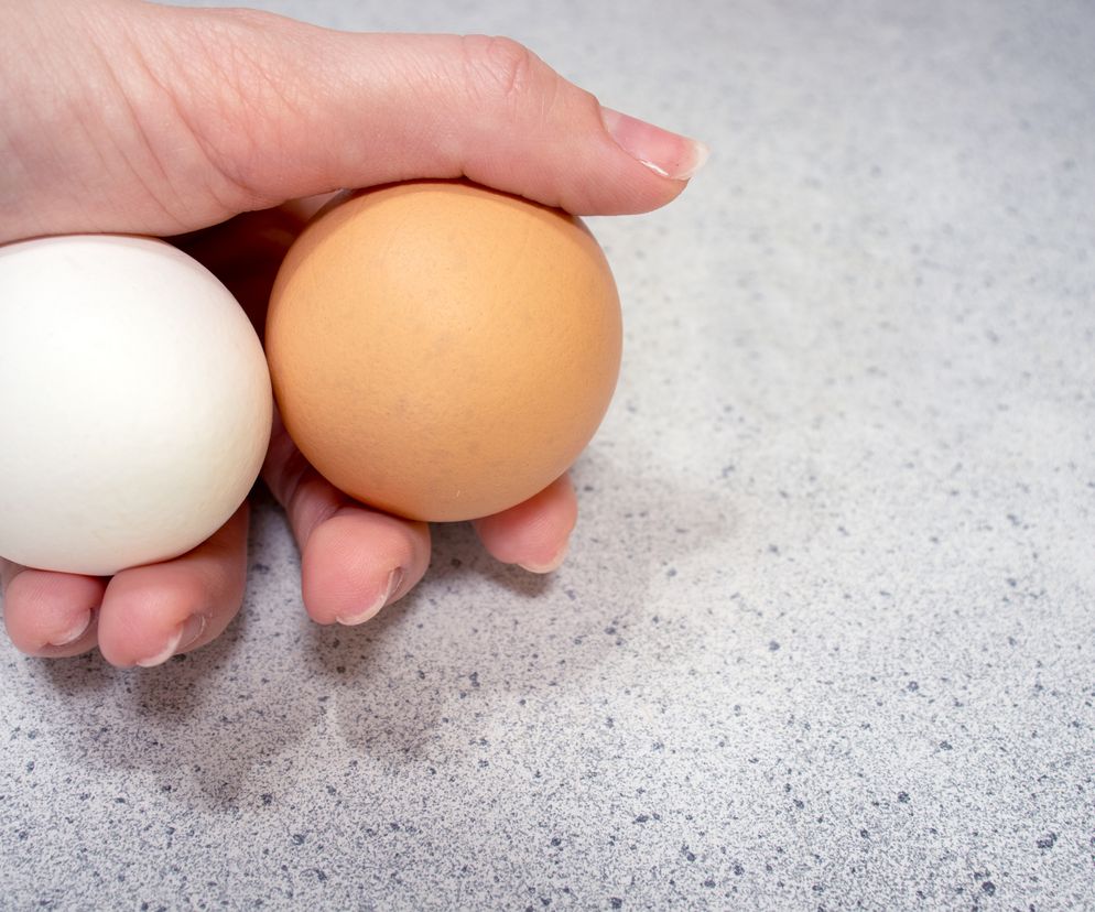 Czy brązowe jajka są zdrowsze od białych? Dietetycy już wiedzą