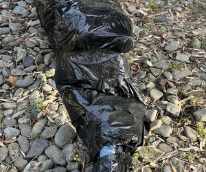 Gigantyczny pająk z plastikowych butelek ozdobił dom w Lublinie