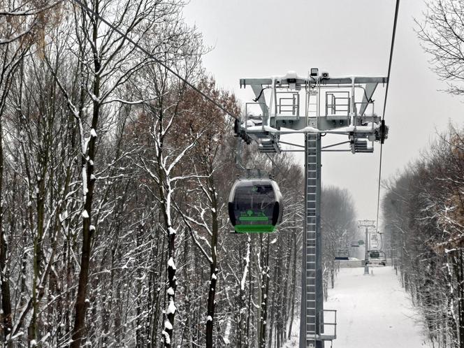 Nad Zoo w Chorzowie kursuje nowa "Elka" - fotki z pierwszego przejazdu nowej linii kolejki w Parku Śląskim