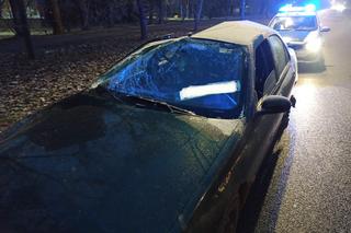 Wrakiem jechał do Gruzji. Policjantom opadły szczęki