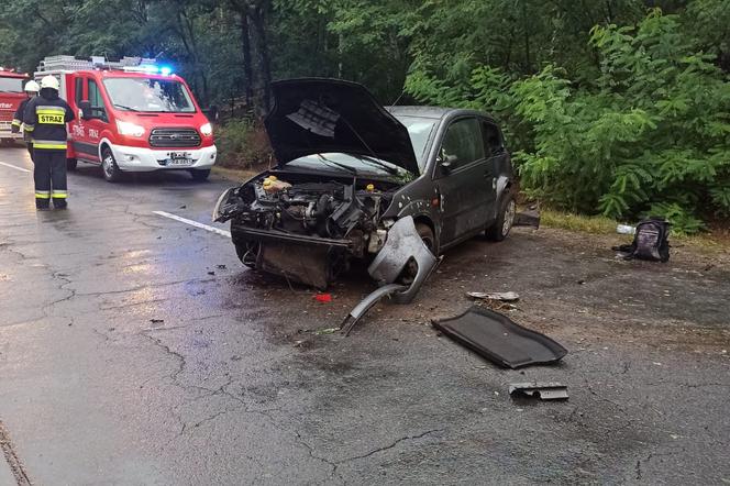 Wypadek w powiecie rawickim. 19-letni kierowca wypadł z samochodu do wpadnięciu do rowu