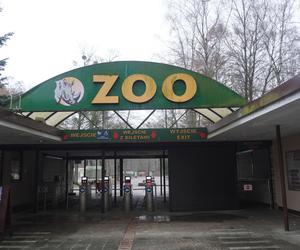 Zoo w Poznaniu zimą