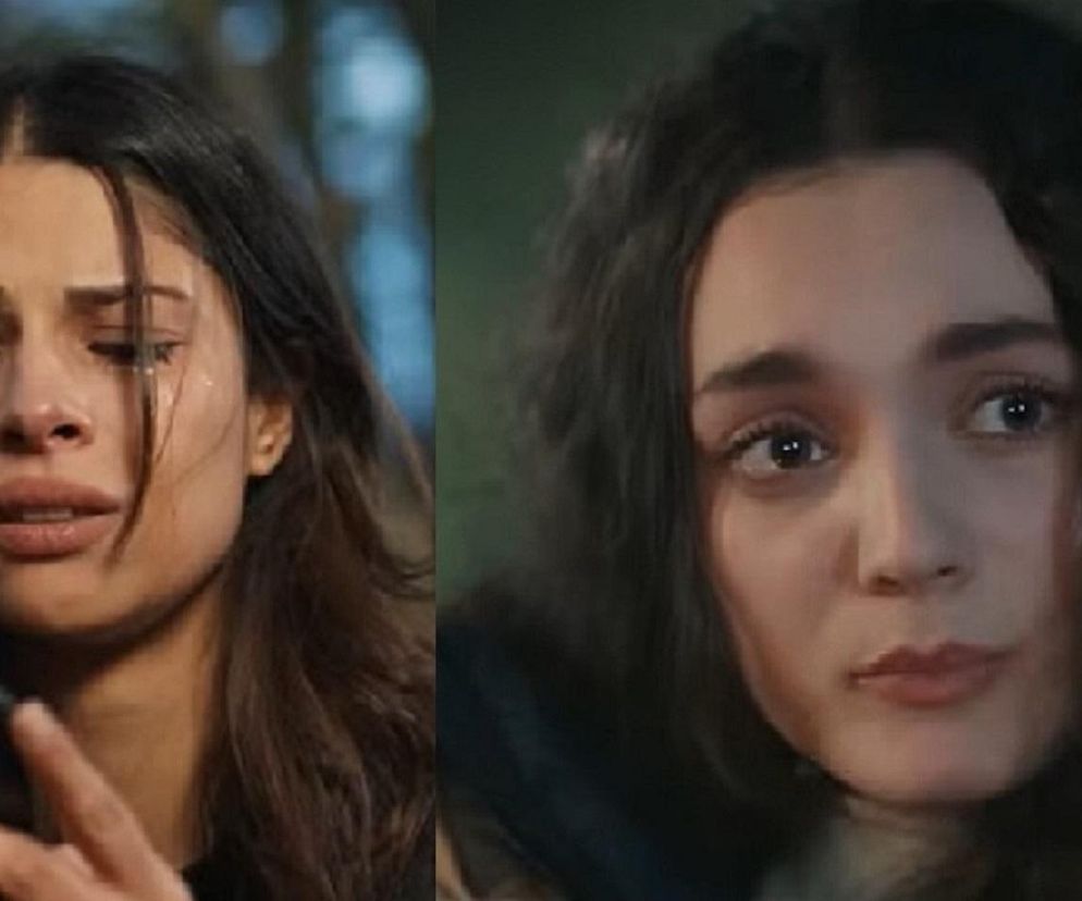 Dziedzictwo, odcinek 667. Ayse, Nana