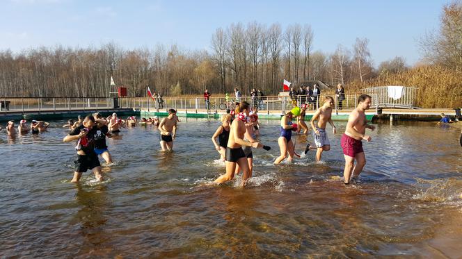 W Sosnowcu morsy świętowały 100-lecie niepodległości