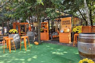 Ogromna Farma Dyniowa w Radawie 