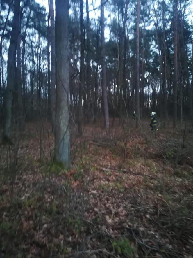 ZWŁOKI starszego mężczyzny znalezione w lesie! Był poszukiwany przez rodzinę