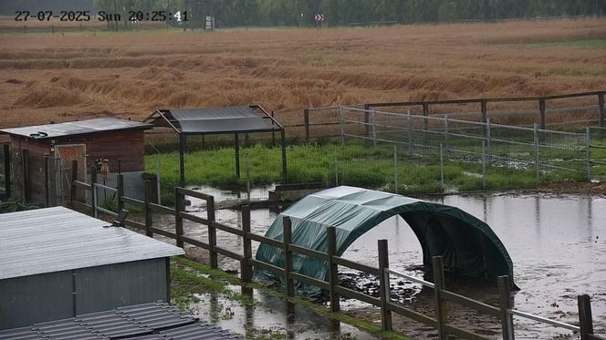 Przystań Ocalenie w Ćwiklicach zalana po ulewnych deszczach. Potrzebna pomoc