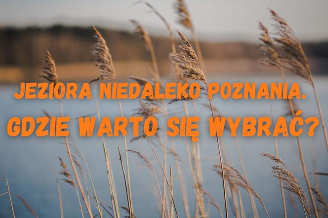 Gdzie warto się wybrać nad jeziora poza Poznań? 
