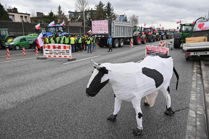 Protest rolników 