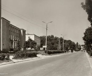 Okolice tego miasta niedaleko Lublina zamieszkiwane były już w czasach prehistorycznych. Jak rozwijała się Bychawa na przestrzeni wieków? Archiwalne zdjęcia z XX wieku