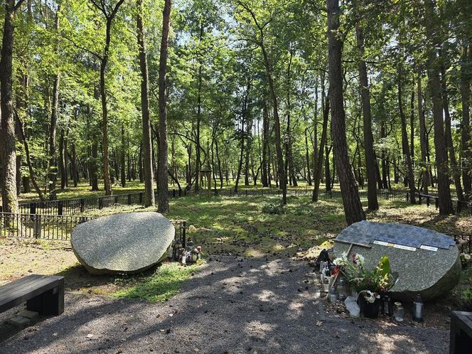 Las pamięci na Junikowie w Poznaniu