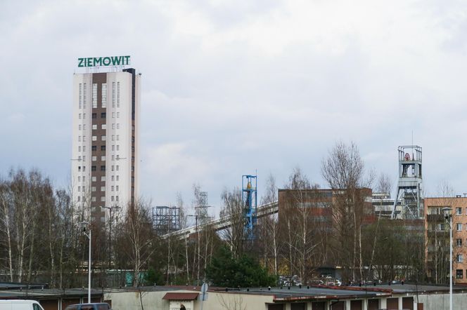 2. Piast-Ziemowit