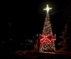 Bogate iluminacje świąteczne w Bytomiu. To wersja oszczędna
