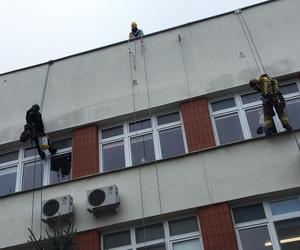 Alpiniści dla WOŚP w grudziądzki szpitalu