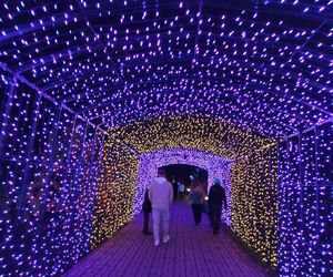 Park iluminacji w Lublinie