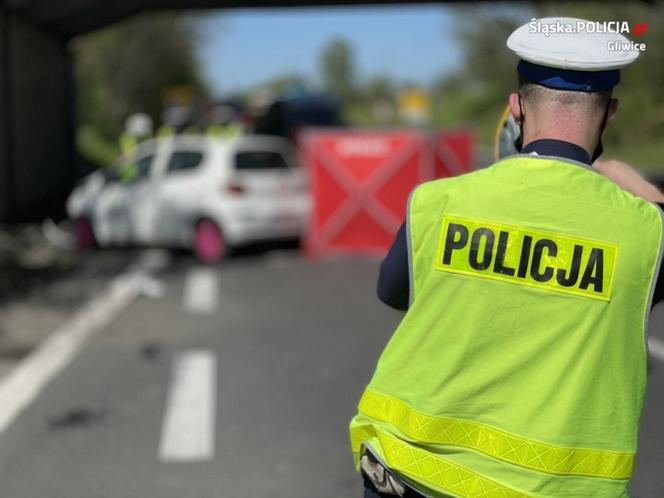 Gliwice: Profesor Miszczyk zginął w tragicznym wypadku