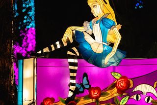 Śląsk zamienia się w Krainę Czarów. Ta magiczna wystawa świateł to absolutny hit jesieni i zimy