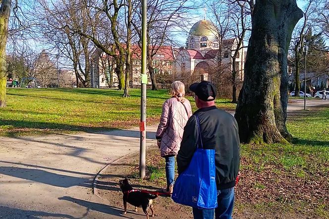 Światowy Dzień Poezji w Szczecinie