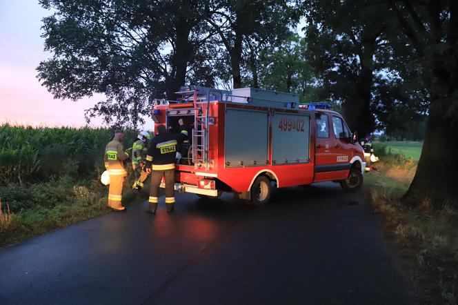 Wielkopolskie. Mercedes uderzył w drzewo! 26-letni pasażer nie żyje! 