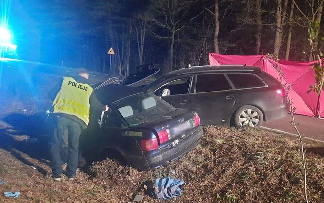 Nie żyje 63-letnia kobieta, 19-latek trafił do szpitala. Tragedia na DK 63 pod Łukowem
