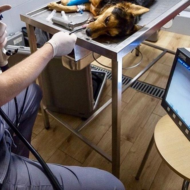 Szukali kości w gardle