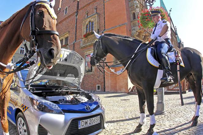 Toyota Yaris Hybrid dla Straży Miejskiej we Wrocławiu