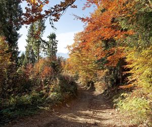 To miejsce w Małopolsce najpiękniej wygląda późną jesienią według AI. Ma status kultowego