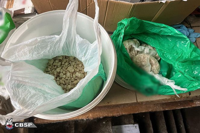 Akcja CBŚP w dwóch województwach. Zdjęcia z działań służb