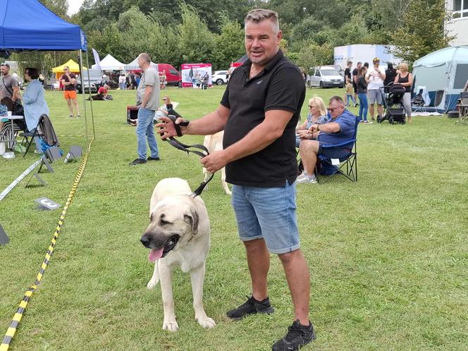 Psie piękności przyjechały do Kalisza 