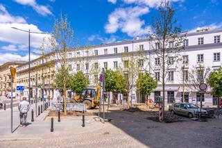 Nowe drzewa na ul. Brackiej w Warszawie