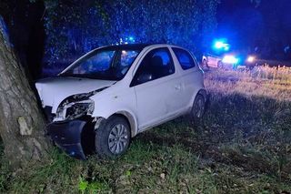 Pijany kierowca z zakazem uciekał przed policją. Finał na drzewie!