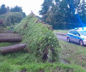 Potężna nawałnica przeszła przez woj. lubelskie. Straty są ogromne, jedna osoba jest ranna [ZDJĘCIA]