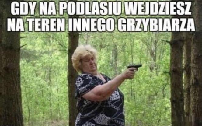 Najlepsze memy o Podlasiu. Zobacz najciekawsze memy o województwie podlaskim. Ubaw do łez!