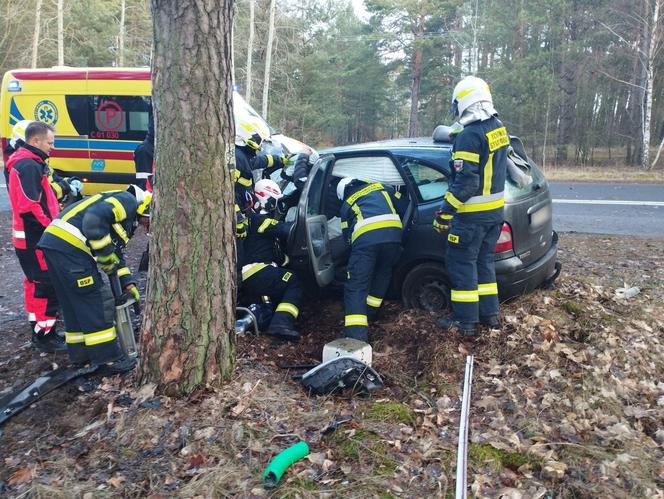 Wypadek na DK 10 w Solcu Kujawskim! Osobówka wypadła z drogi i uderzyła w drzewo [ZDJĘCIA]