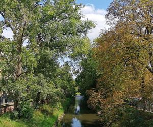 Alert RCB dla woj. opolskiego! Zakaz korzystania z rzeki Kłodnicy