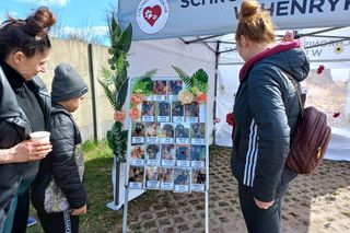 Psiaki na czerwonym dywanie. „PSYwitaj wiosnę” w schronisku w Henrykowie koło Leszna