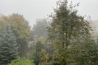 Gęsta mgła w Łodzi. IMGW informuje o złych warunkach pogodowych w regionie