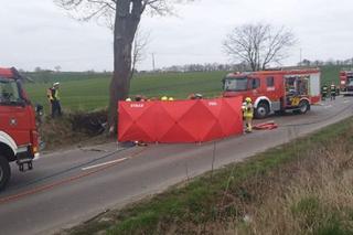 Tragiczny wypadek w Pomorskiem! Kierowca spłonął w aucie