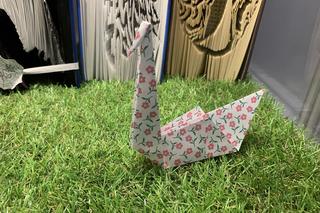 Sztukę możemy podziwiać na wystawie w Wypożyczalni Głównej Wojewódzkiej i Miejskiej Biblioteki Publicznej w Bydgoszczy