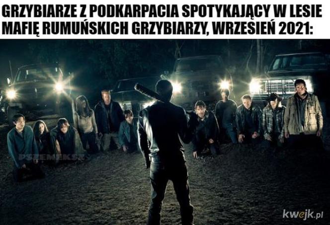 Nóż się w kieszeni otwiera i Janusz i szykuje się na grzyby! MEMY o grzybobraniu [GALERIA]