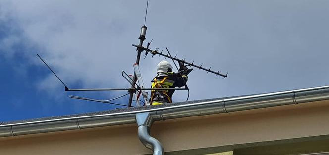 Ptak zaplątał się w antenę telewizyjną i nie mógł się uwolnić! Interweniowali strażacy [ZDJĘCIA]