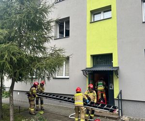 Tragiczny pożar w Piekarach Śląskich. Jedna osoba nie żyje