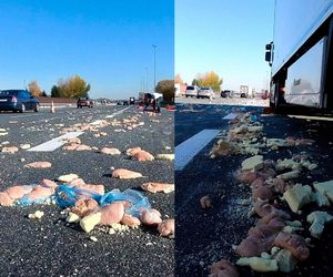 Karambol na A4 pod Krakowem. Autostrada zasypana mrożonym mięsem