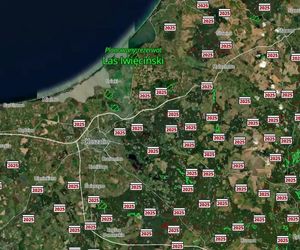 Mapa wycinki lasów 2025 - woj. zachodniopomorskie