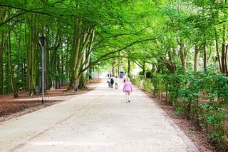 Usterki na Alei Fałata